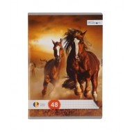 Caiet A5 matematica 48 file