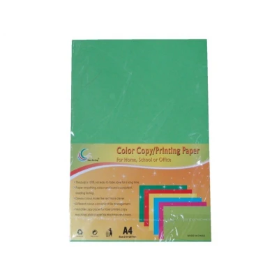 Carton colorat A4 100 Coli