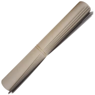 Carton duplex alb 10 coli
